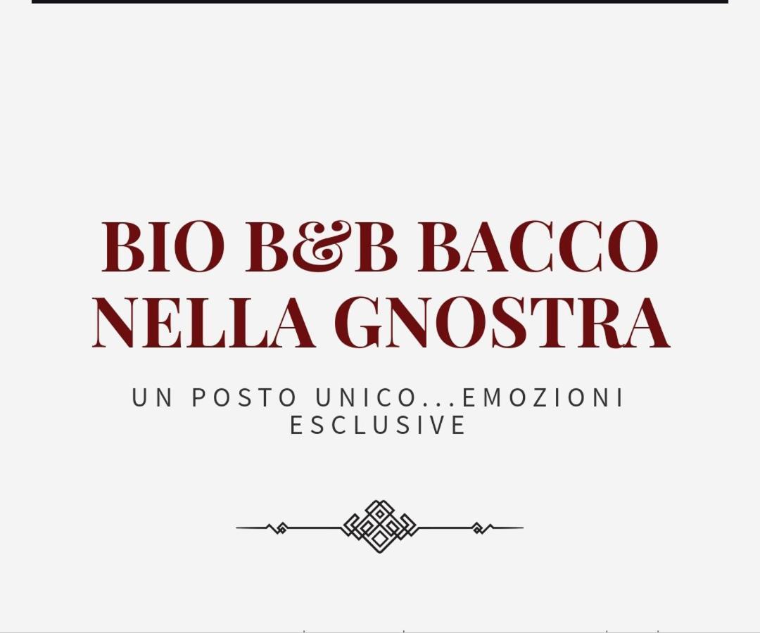 אלטאמורה Bio B&B Bacco Nella Gnostra מראה חיצוני תמונה